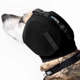 Rex Specs Ear Pro hörselskydd för hundar Skydda din hunds hörsel